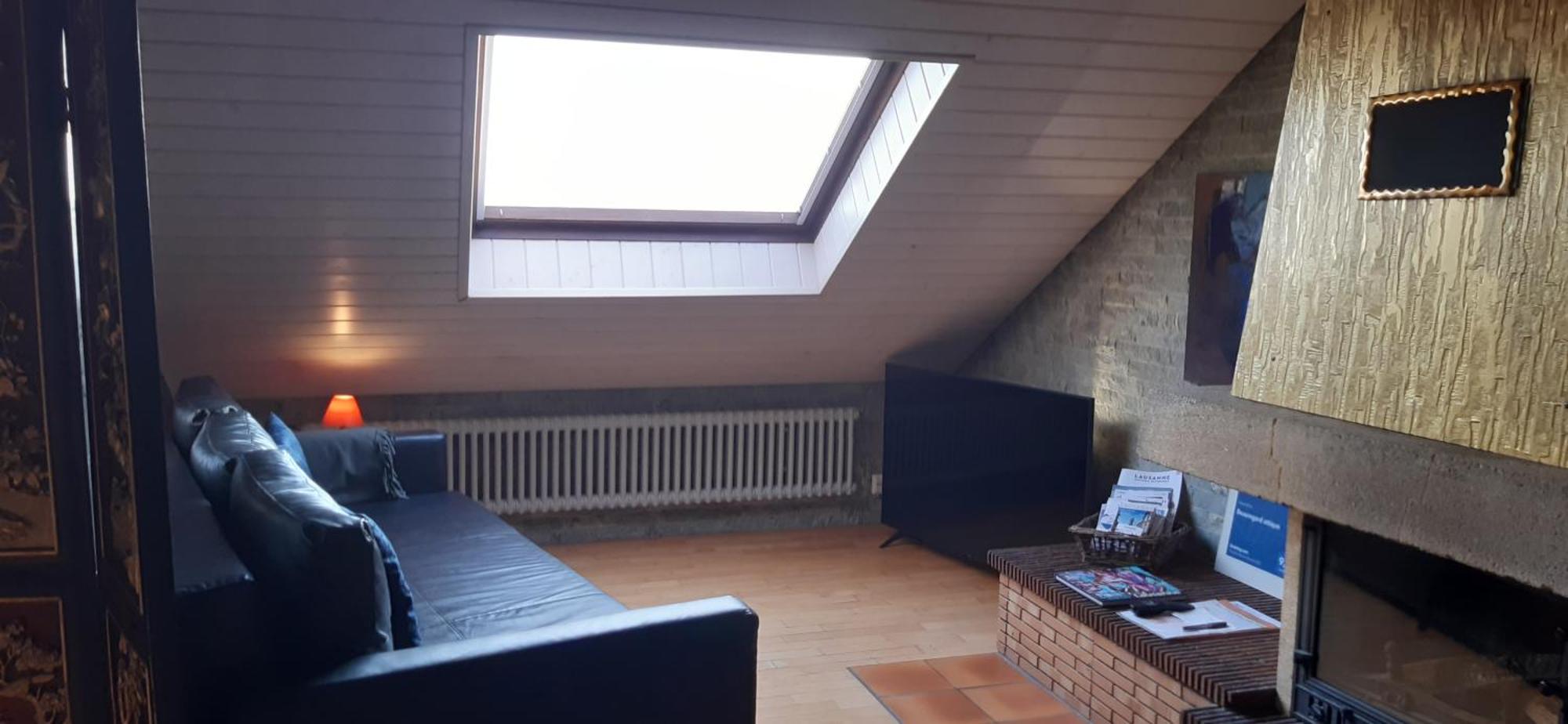 Beauregard Attique Apartment Lausanne Exterior foto
